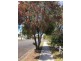 22 Boyce Street, Taree NSW 2430