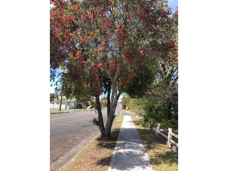 22 Boyce Street, Taree NSW 2430