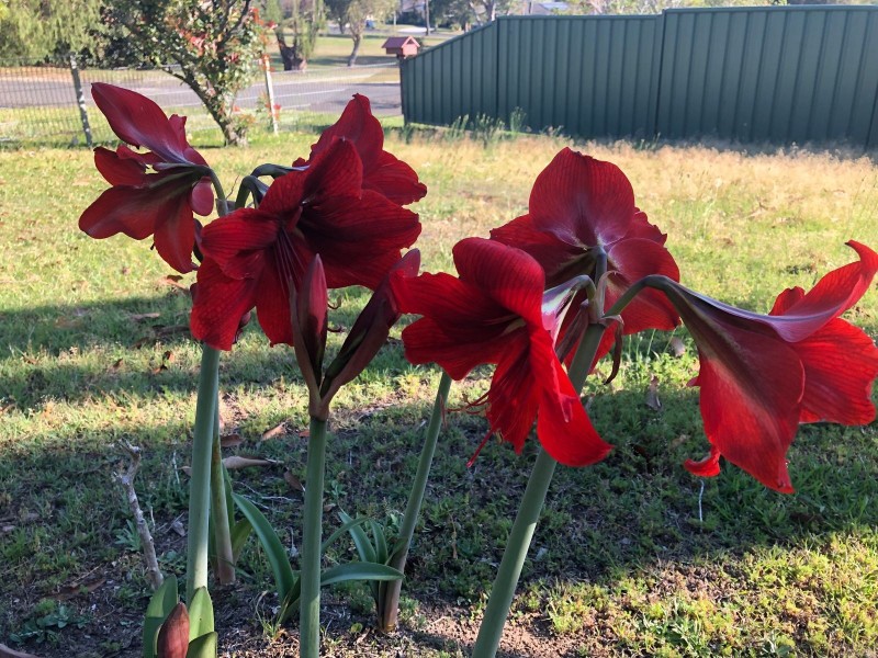 86A Main Street, Cundletown NSW 2430