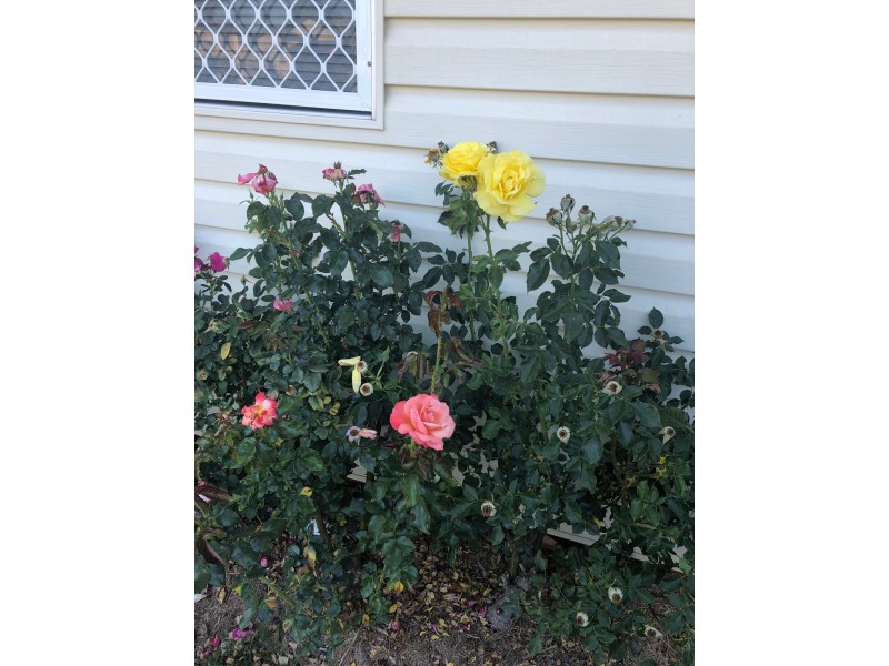 86A Main Street, Cundletown NSW 2430