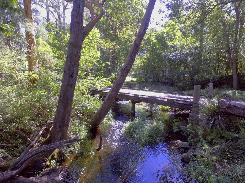 493 Gold Creek Road, Brookfield QLD 4069