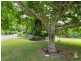 198 Obrien Road, Pullenvale QLD 4069