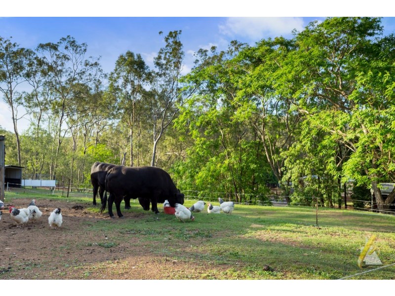 1188 Mount Crosby Rd, Mount Crosby QLD 4306