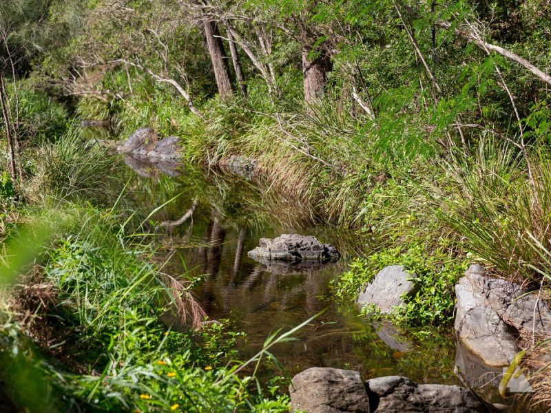 300 Upper Brookfield Road, Upper Brookfield QLD 4069