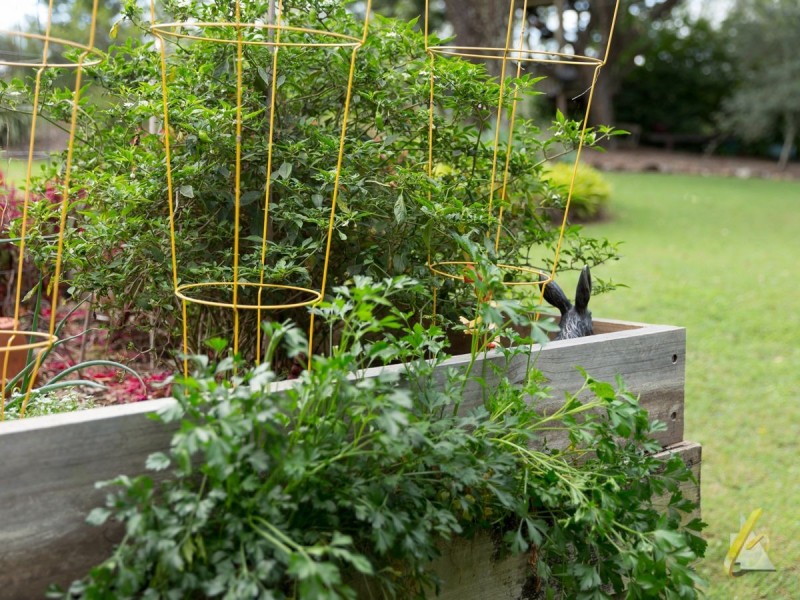 15 Kanangra Close, Karana Downs QLD 4306