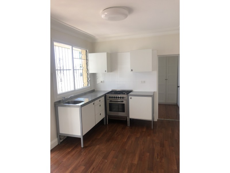 119 Carlton Crescent, Summer Hill NSW 2130