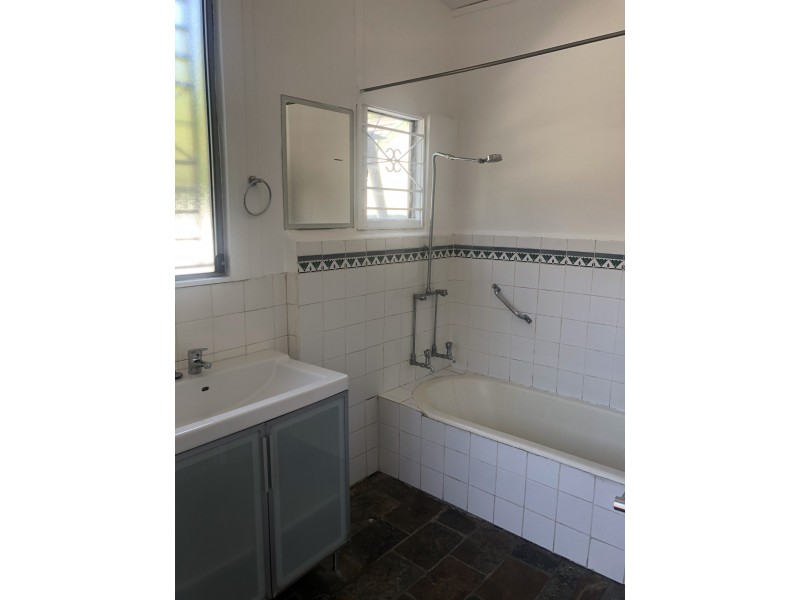 119 Carlton Crescent, Summer Hill NSW 2130