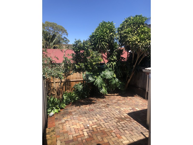 119 Carlton Crescent, Summer Hill NSW 2130