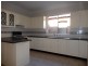 42 Old Canterbury Road, Lewisham NSW 2049