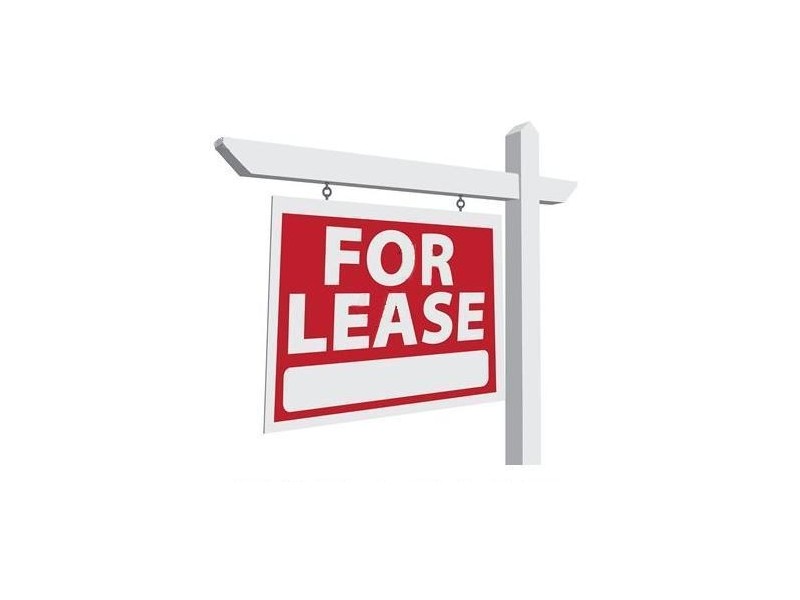74 Alt Street, Ashfield NSW 2131