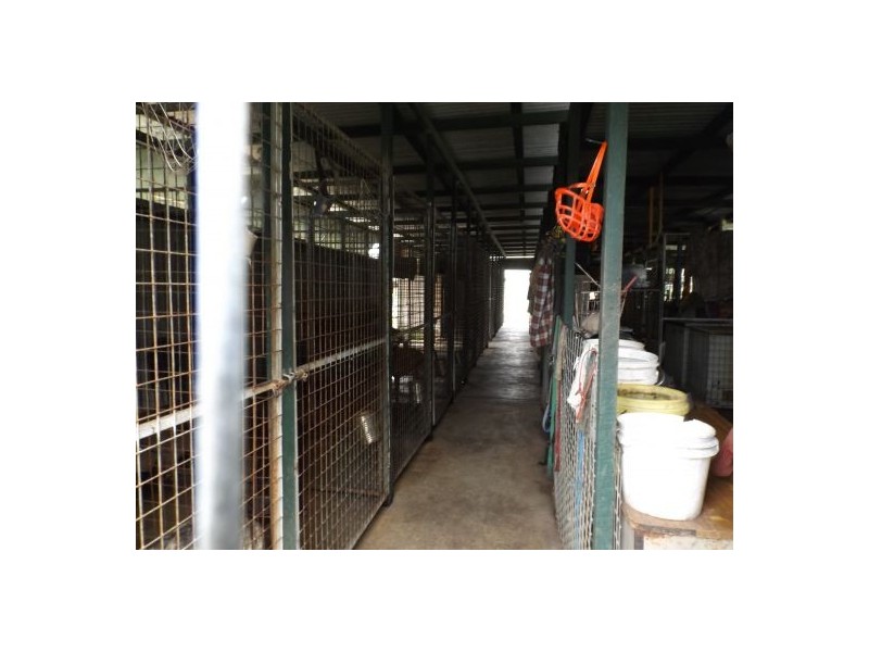 160 Rifflerange Road, Casino NSW 2470