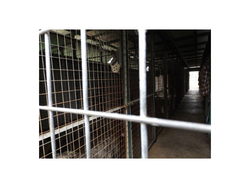 160 Rifflerange Road, Casino NSW 2470