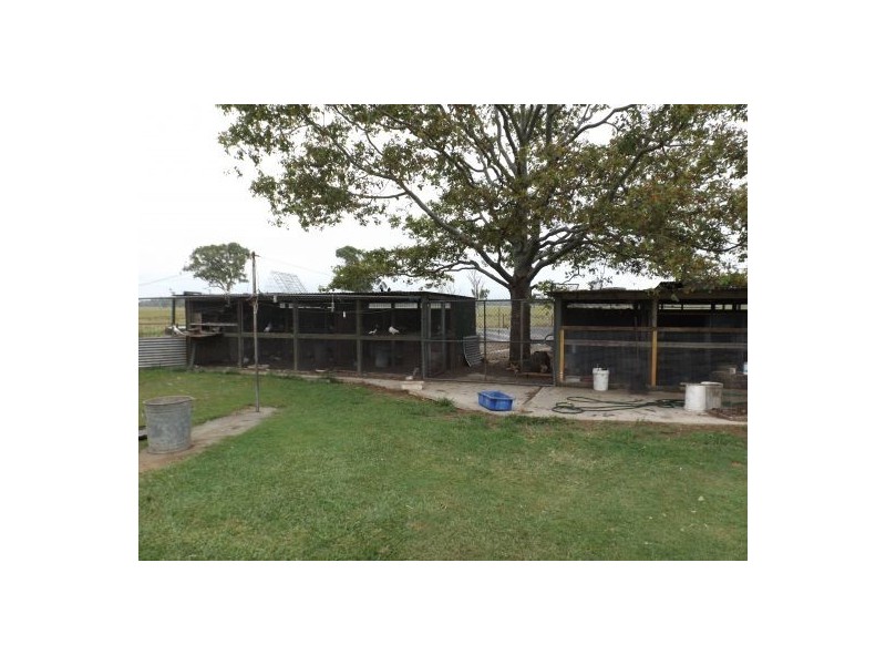 160 Rifflerange Road, Casino NSW 2470