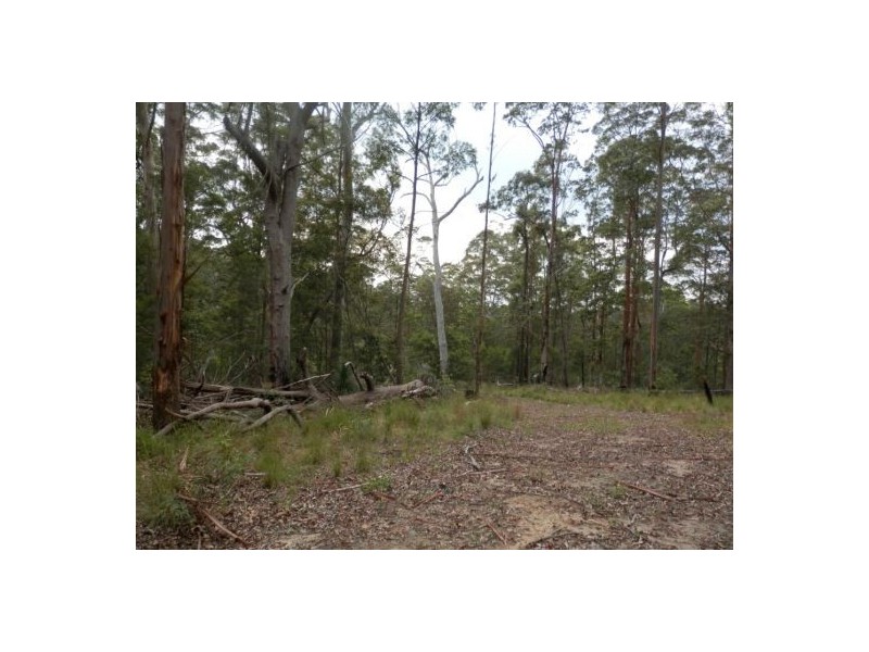 Lot 5 Long Gully Road, Drake NSW 2469