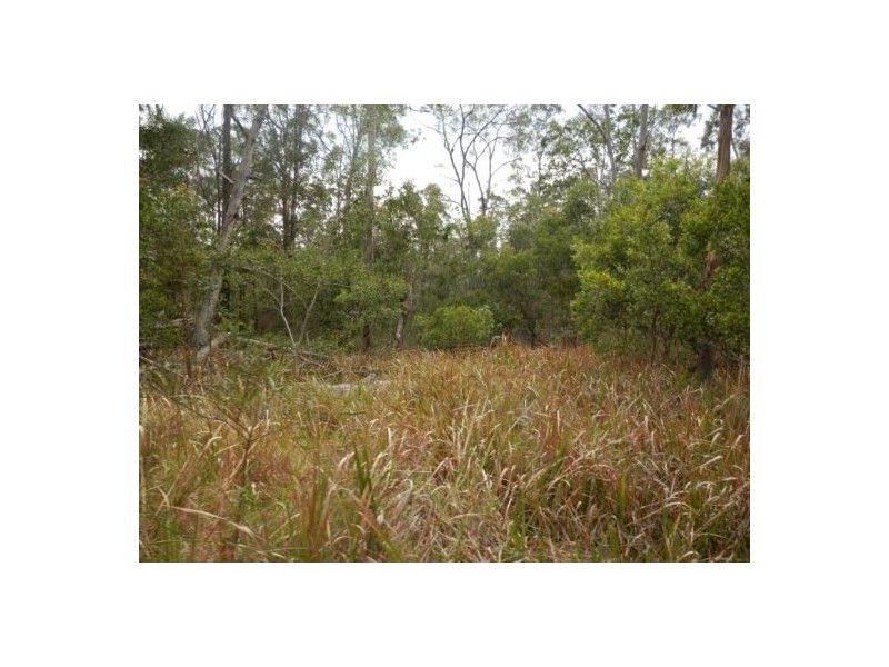 Lot 5 Long Gully Road, Drake NSW 2469