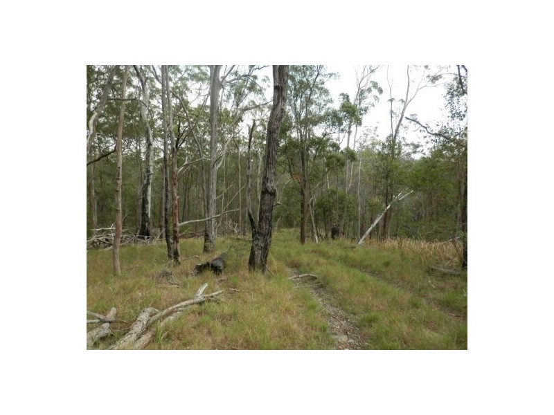 Lot 5 Long Gully Road, Drake NSW 2469
