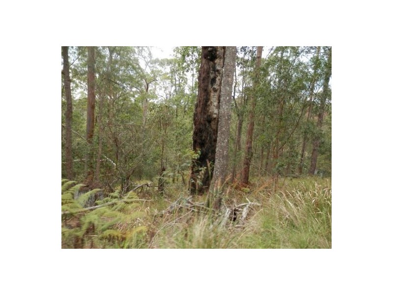 Lot 5 Long Gully Road, Drake NSW 2469