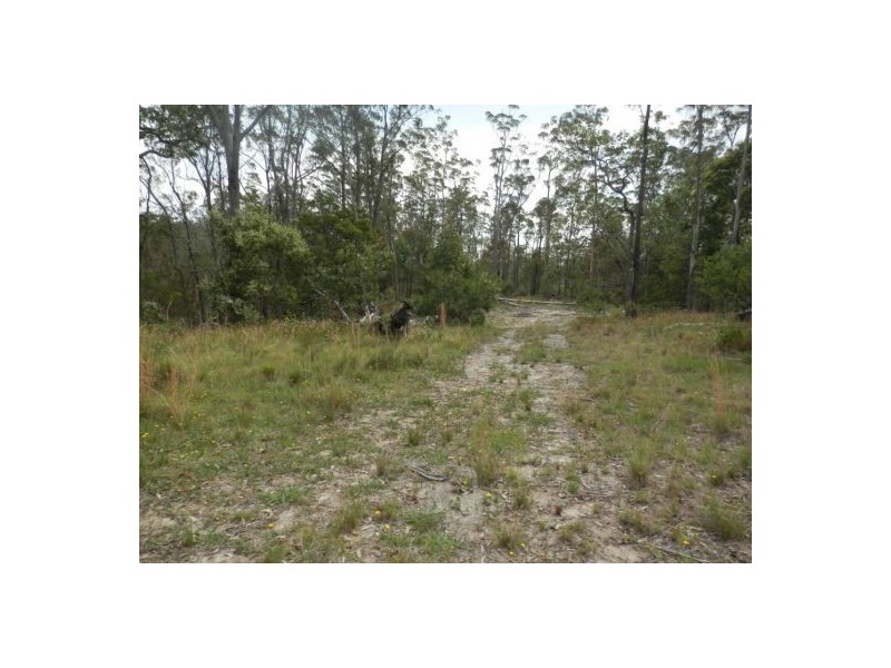 Lot 5 Long Gully Road, Drake NSW 2469