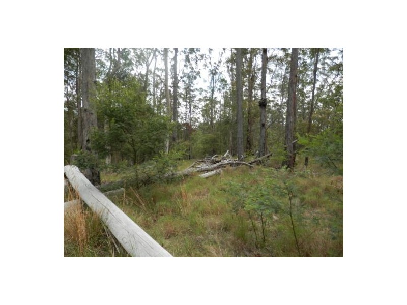 Lot 5 Long Gully Road, Drake NSW 2469