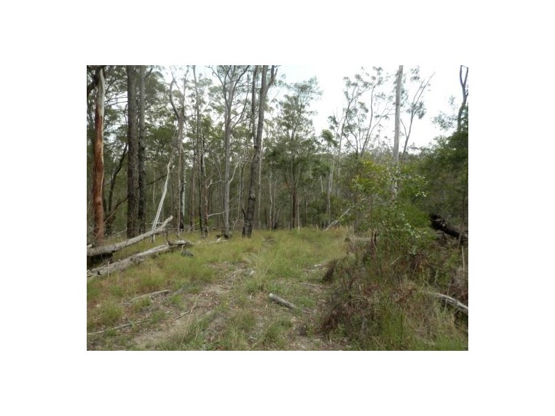 Lot 5 Long Gully Road, Drake NSW 2469