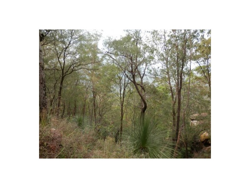 Lot 5 Long Gully Road, Drake NSW 2469