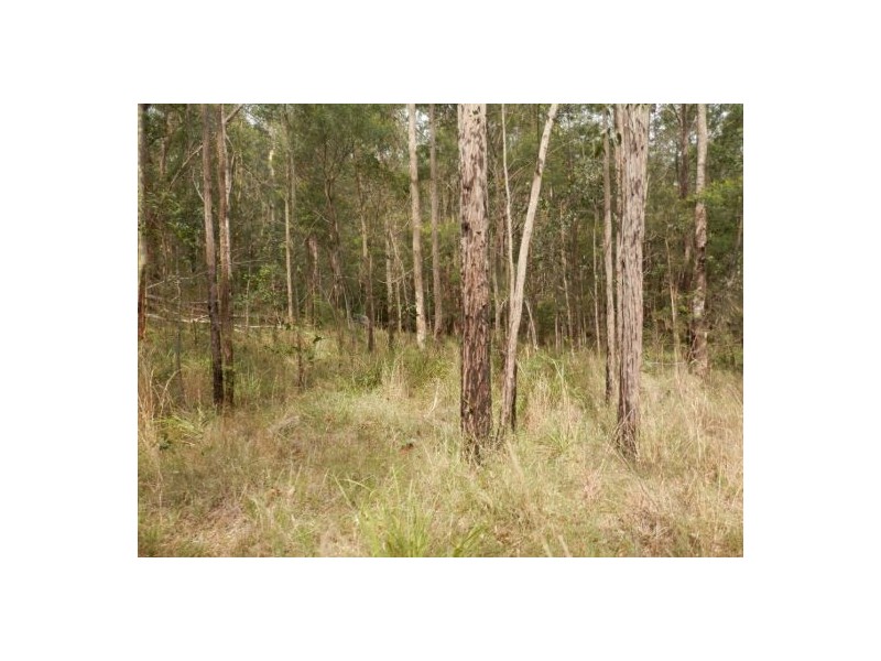 Lot 5 Long Gully Road, Drake NSW 2469