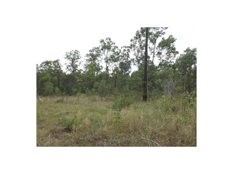 2923 Old Tenterfield Road, Busbys Flat NSW 2469