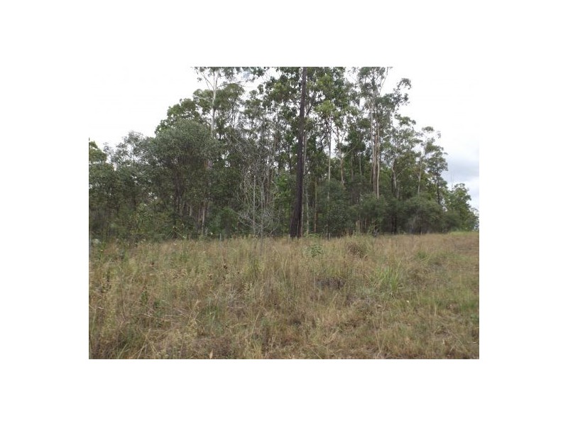 2923 Old Tenterfield Road, Busbys Flat NSW 2469