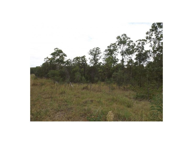 2923 Old Tenterfield Road, Busbys Flat NSW 2469