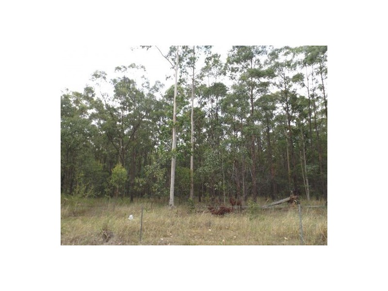 2923 Old Tenterfield Road, Busbys Flat NSW 2469