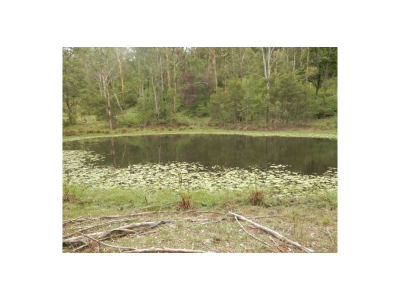 Lot 14 Yabbra Rd, Yabbra NSW 2469