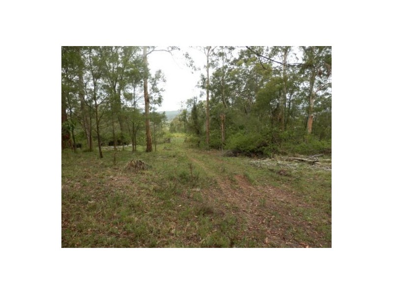 Lot 14 Yabbra Rd, Yabbra NSW 2469