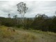 Lot 14 Yabbra Rd, Yabbra NSW 2469