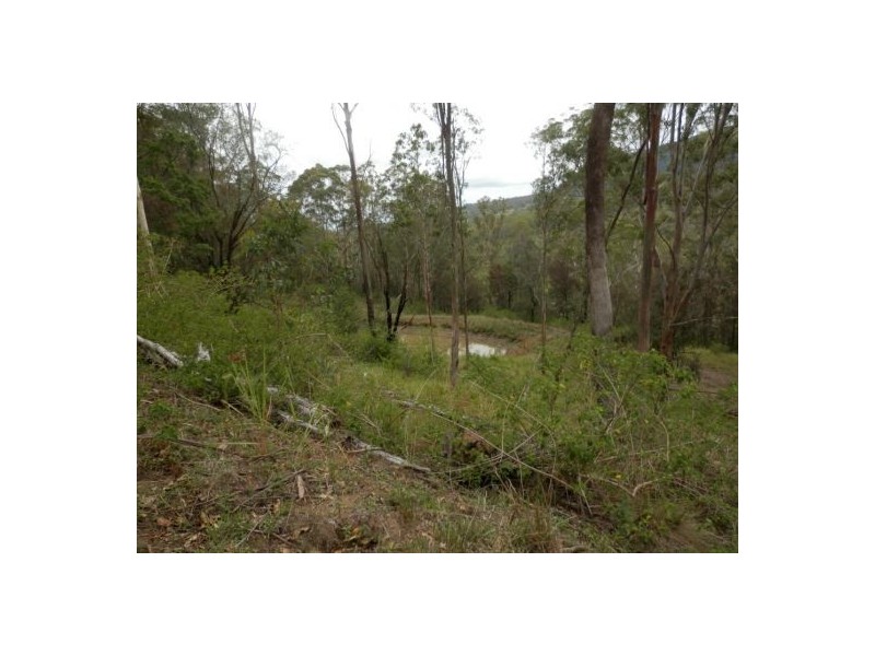 Lot 14 Yabbra Rd, Yabbra NSW 2469