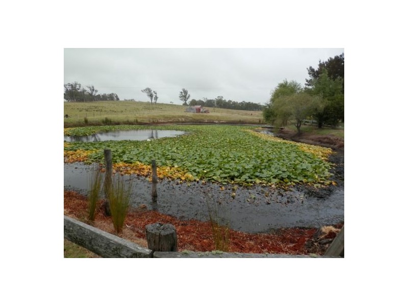 11231 Bruxner Hwy, Tenterfield NSW 2372