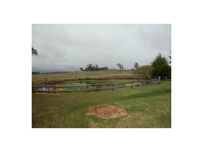 11231 Bruxner Hwy, Tenterfield NSW 2372