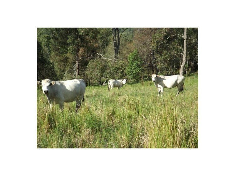 2285 Bentley Road, Bentley NSW 2480