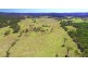 1668 Plains Station Rd, Tabulam NSW 2469