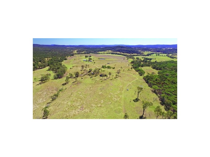 1668 Plains Station Rd, Tabulam NSW 2469