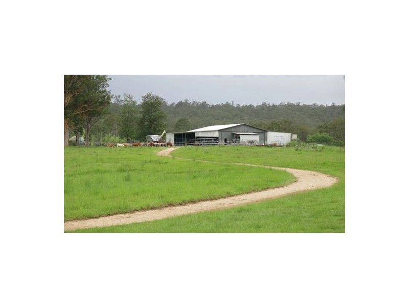 1668 Plains Station Rd, Tabulam NSW 2469