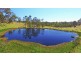 1668 Plains Station Rd, Tabulam NSW 2469