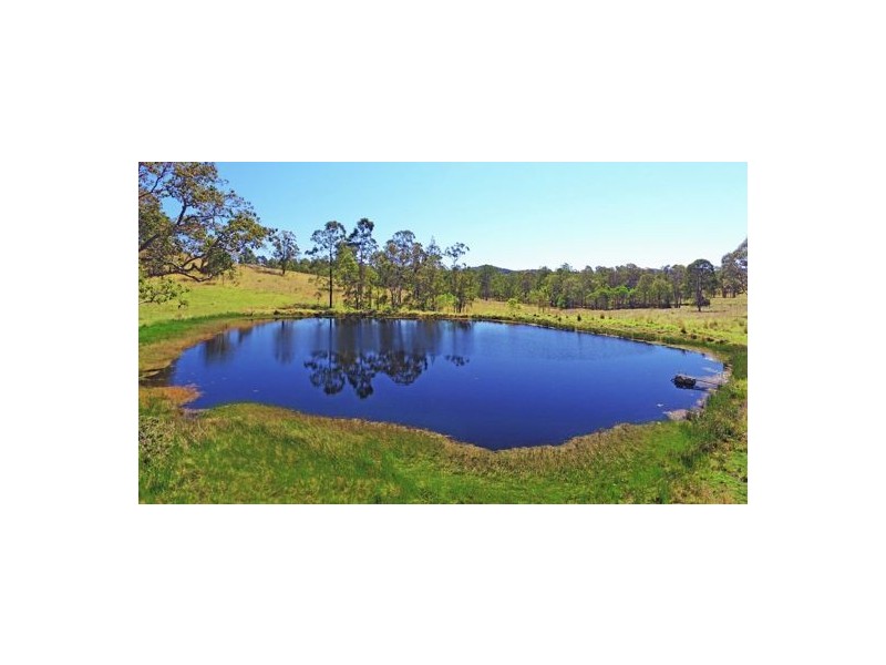 1668 Plains Station Rd, Tabulam NSW 2469