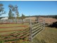 1668 Plains Station Rd, Tabulam NSW 2469