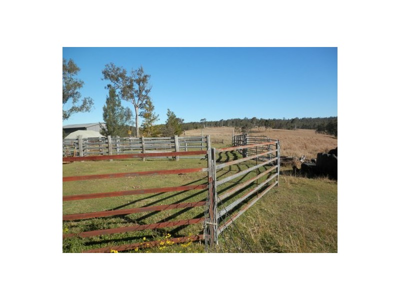 1668 Plains Station Rd, Tabulam NSW 2469