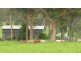 1668 Plains Station Rd, Tabulam NSW 2469