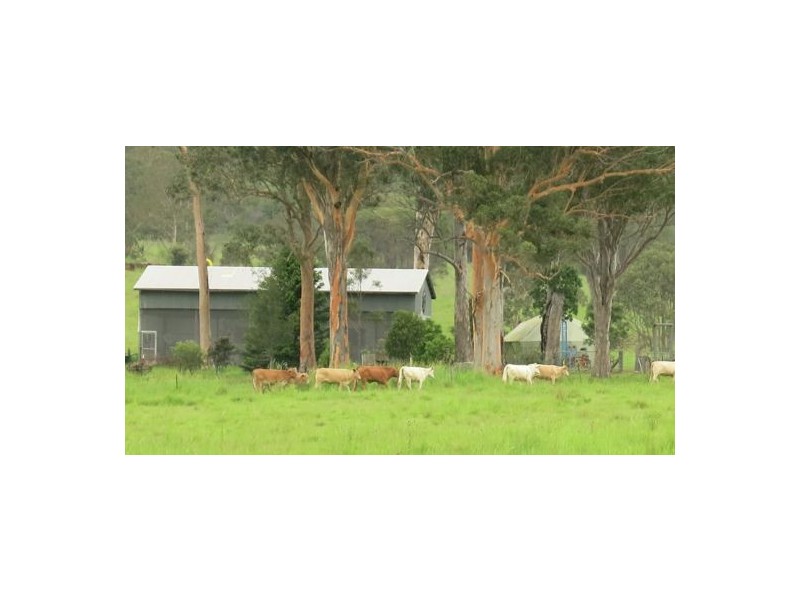 1668 Plains Station Rd, Tabulam NSW 2469