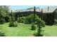 1668 Plains Station Rd, Tabulam NSW 2469