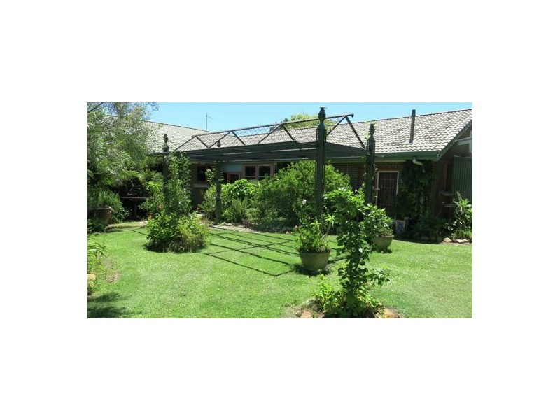 1668 Plains Station Rd, Tabulam NSW 2469