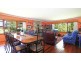 1668 Plains Station Rd, Tabulam NSW 2469