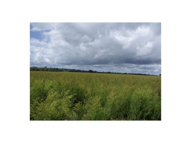 171 Leslie Lane, Tucki Tucki NSW 2480